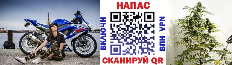 Конопля White Widow  Купить закладки  Княгинино 